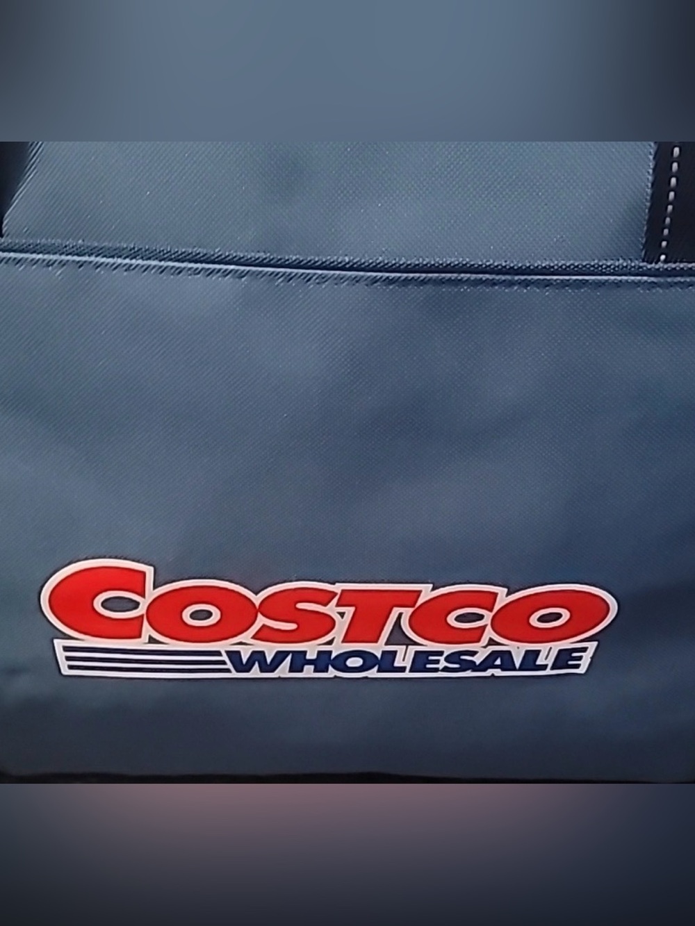 Costco Limited Edition Blue Shopping Freezer Cooler Tote Bag - Blue - NEW!